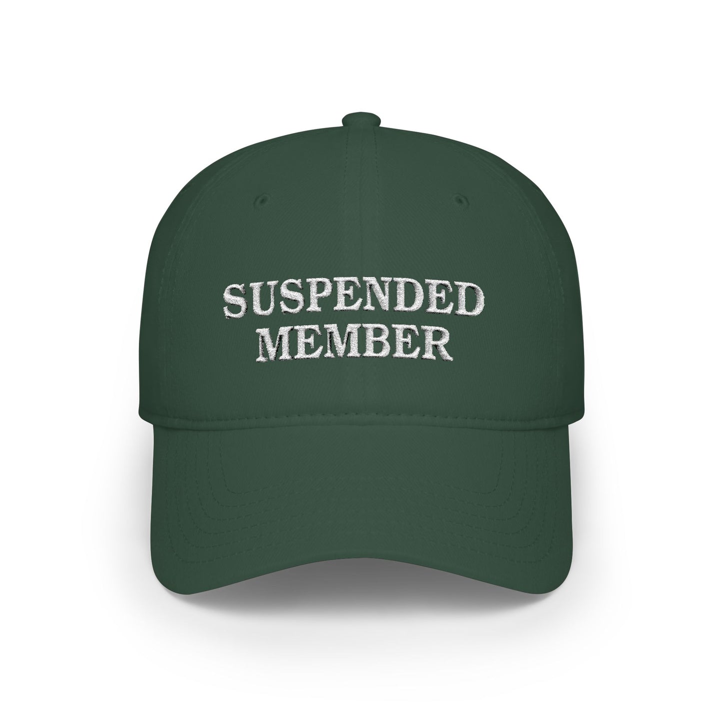 SUSPENDED MEMBER