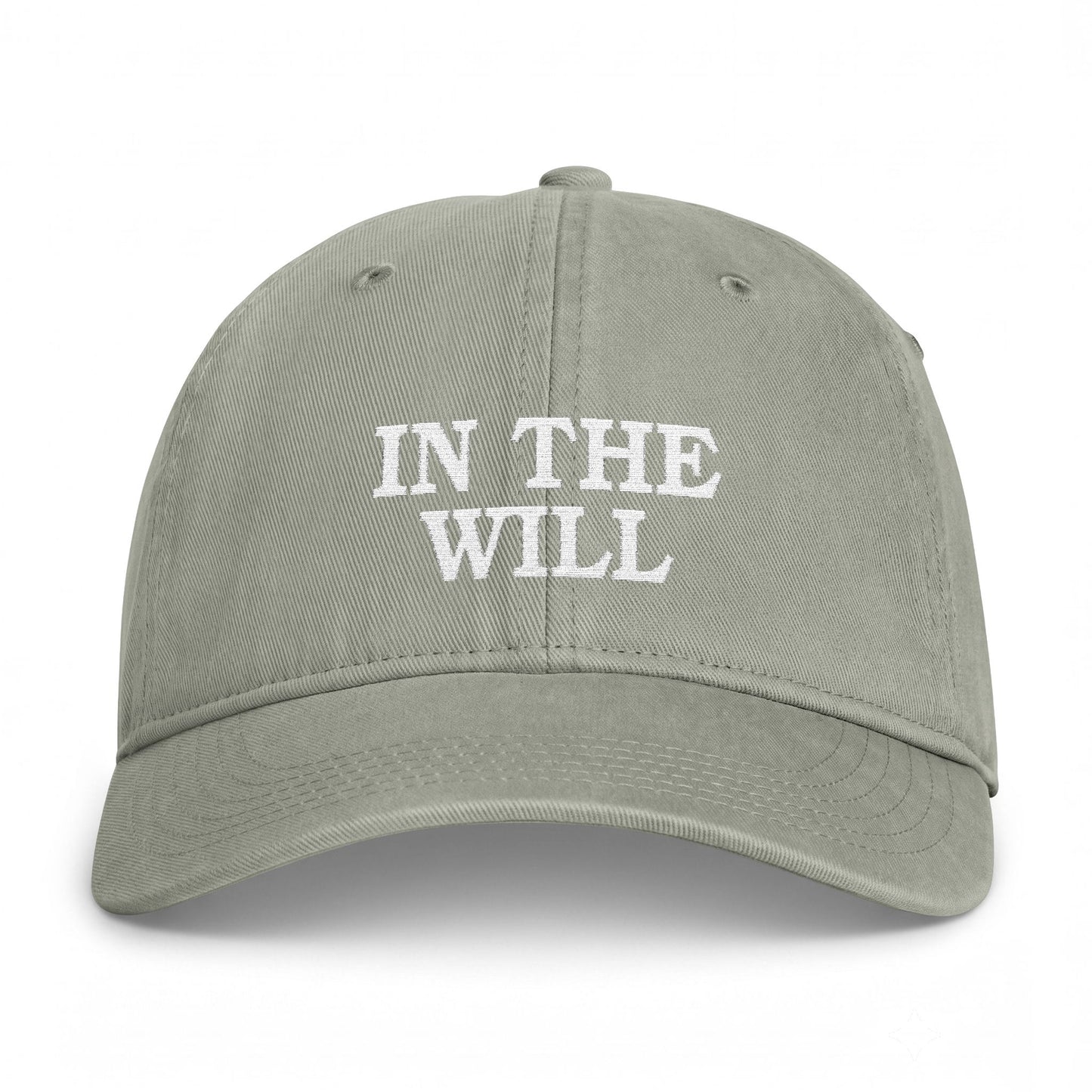 IN THE WILL
