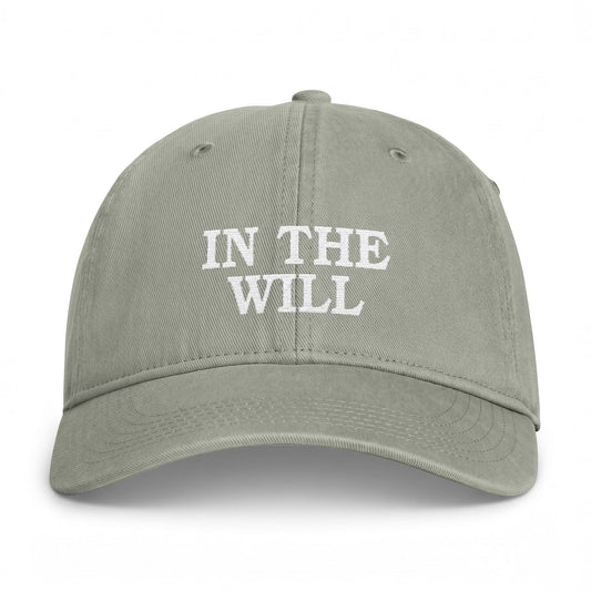 IN THE WILL